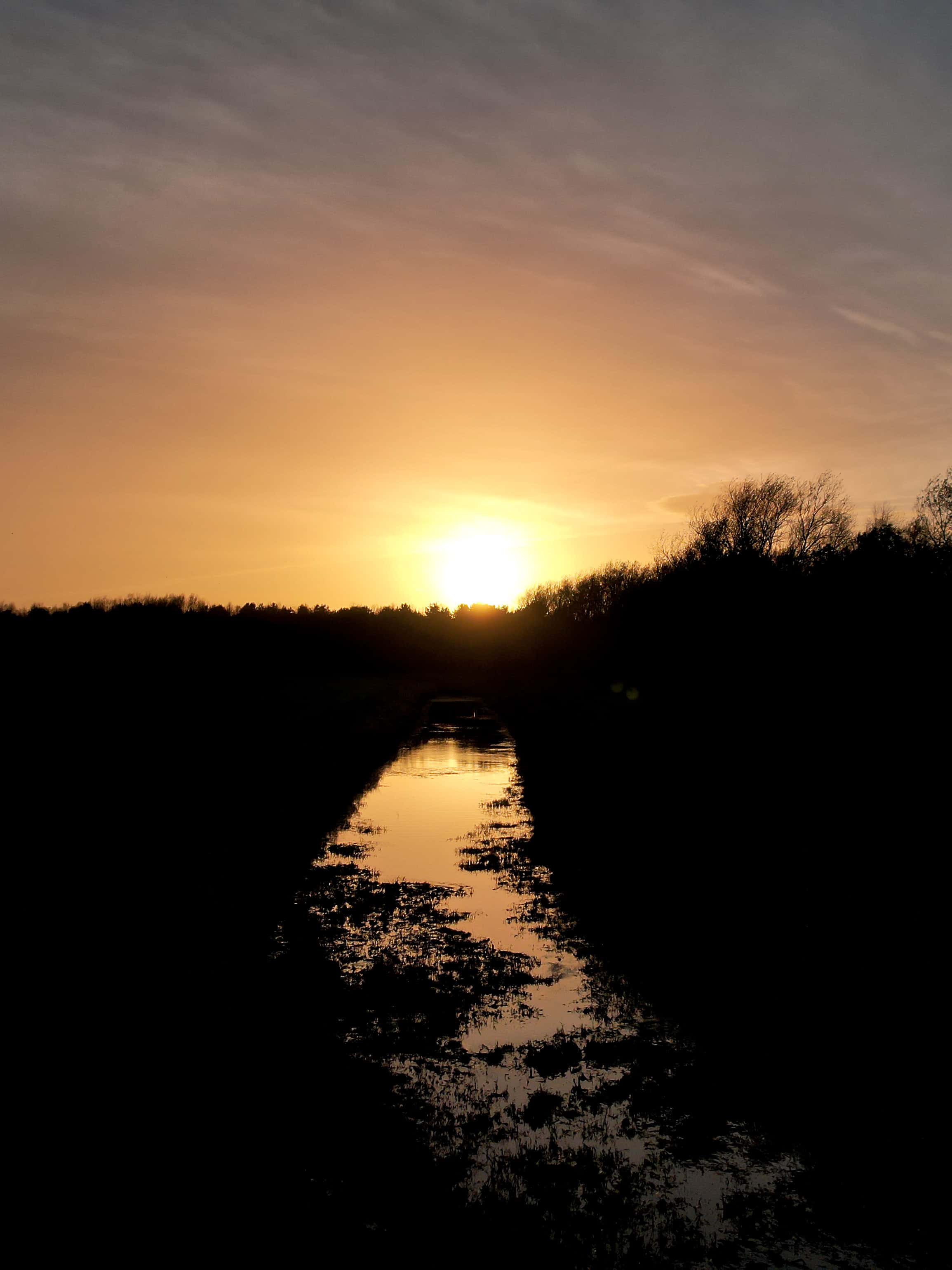 reflective-stream