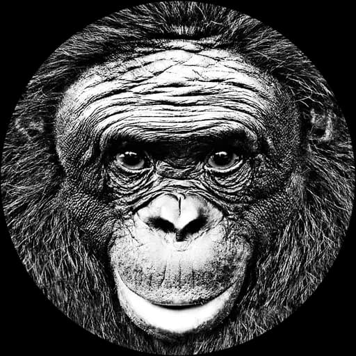 Project icon